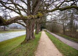 025 - riehen-kleinhueningen